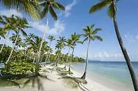 Select At Grand Paradise Samana Las Galeras